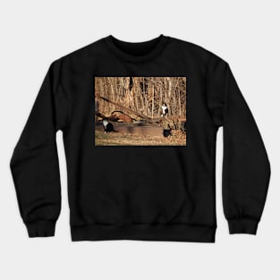 Farm Cats Crewneck Sweatshirt